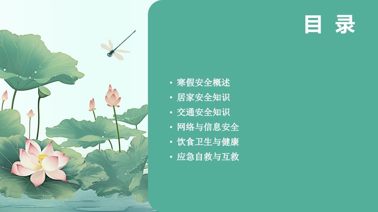 图片[2]-图解2025年寒假安全教育专题课件-jw