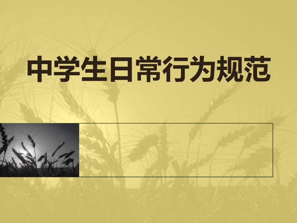 中学生守则和日常行为规范主题班会(抢答赛题目)-jw