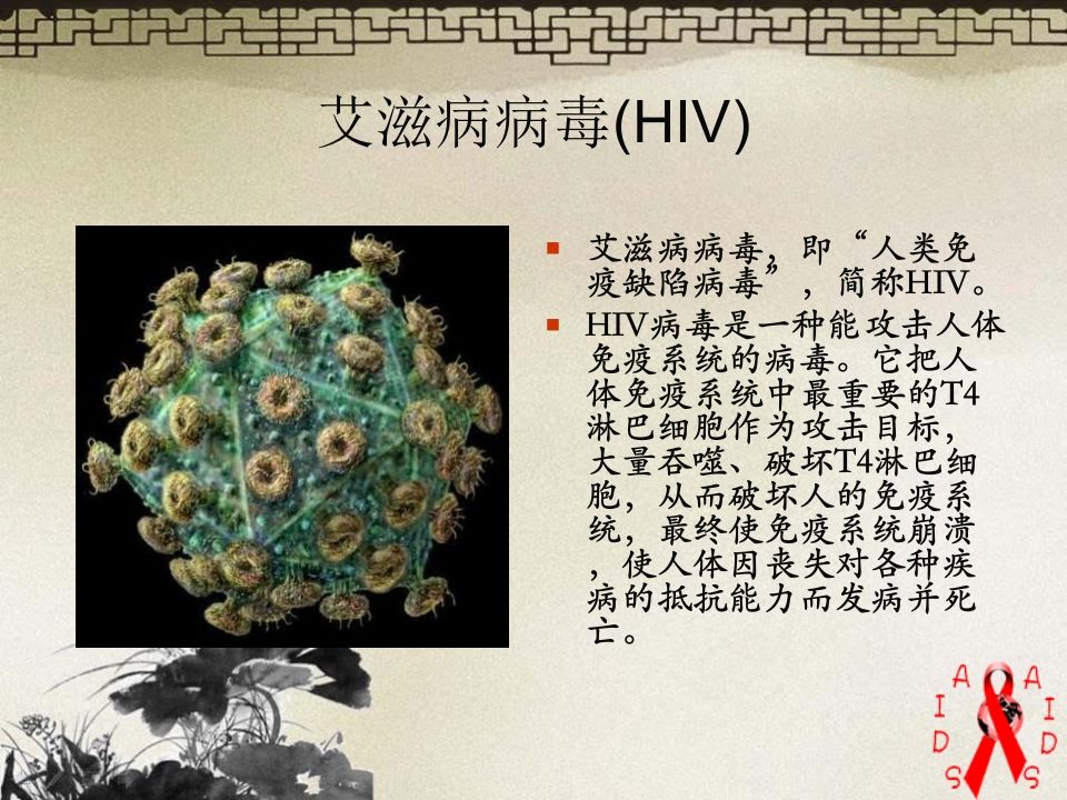 图片[3]-预防艾滋病主题班会ppt-jw