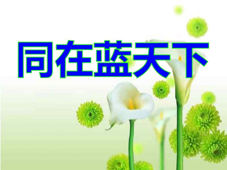 主题班会(献爱心)-jw